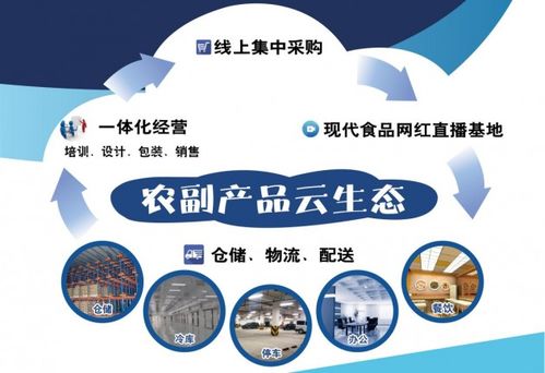 現代聯合集團旗下浙江食品市場 食品供應鏈環節多重優勢與專業服務解析